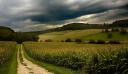 colline.jpg