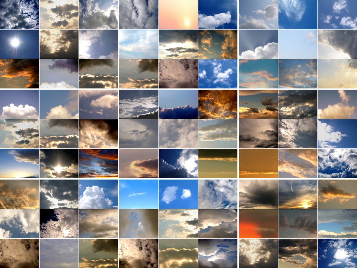 montage9x9.jpg